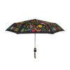 Curio Umbrella